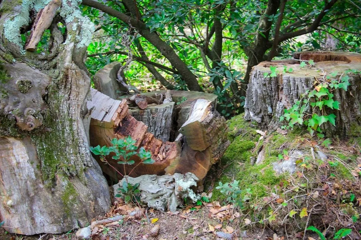 Villa Natura Viladrau Spain