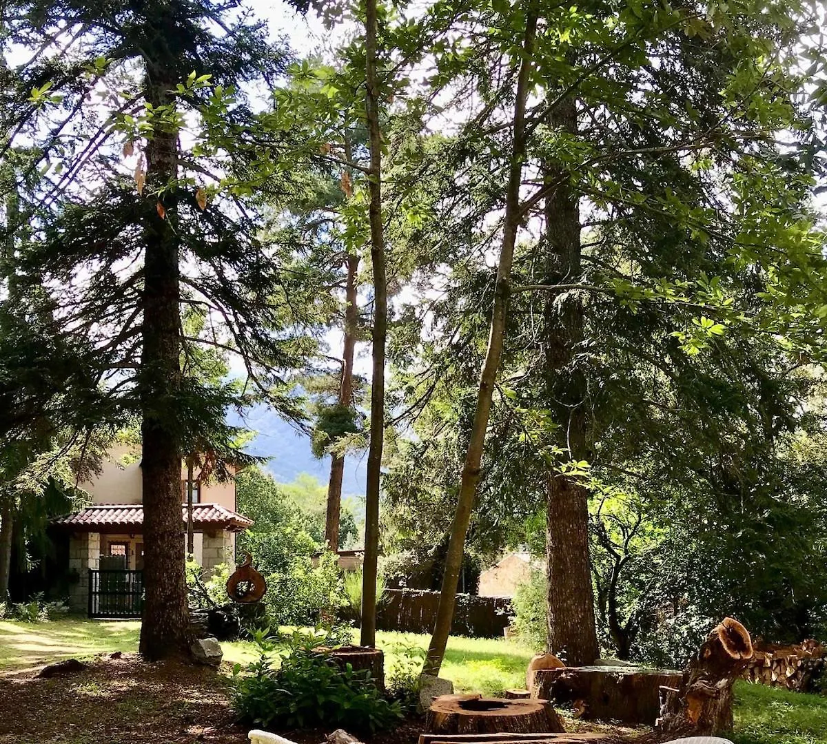 Villa Natura Viladrau