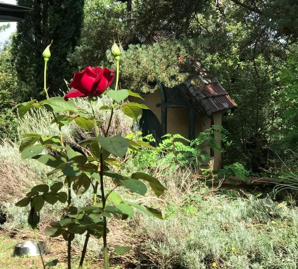 Villa Natura Viladrau